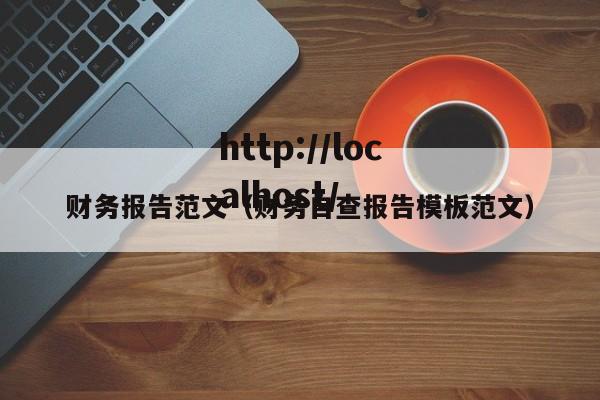 财务报告范文(财务自查报告模板范文)